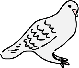 Dove Black And White PNG