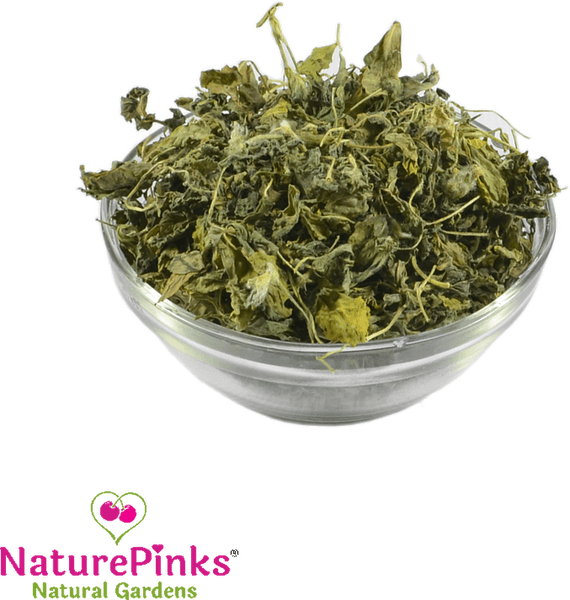 Fenugreek Leaf PNG