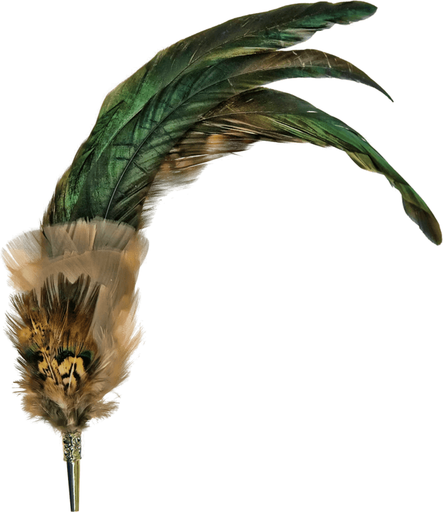 Feather PNG