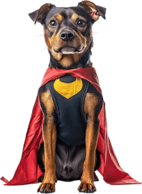 Superhero Dog PNG