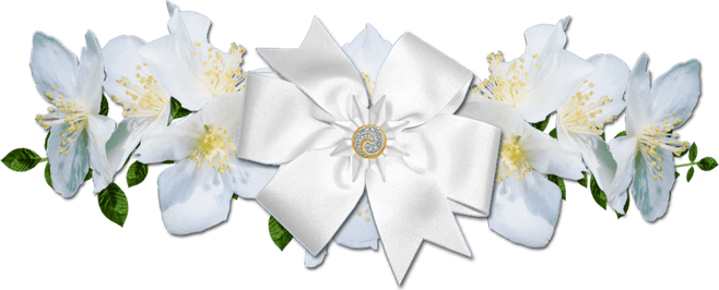 White Rose Border PNG
