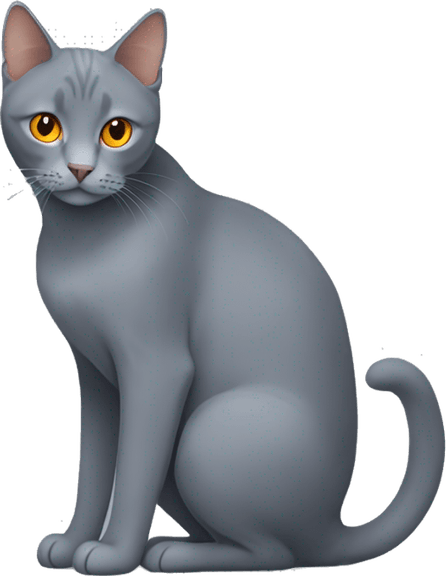 Grey Cat PNG