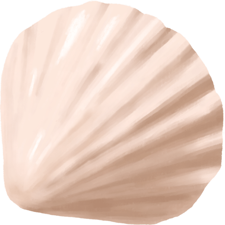 Shell PNG