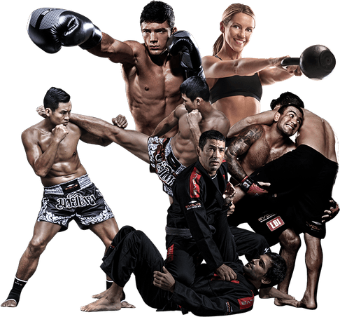 Mixed Martial Artist PNG
