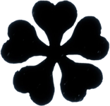 Black Clover Logo PNG