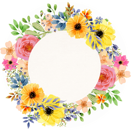 Colourful Flower Border PNG