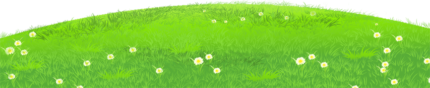 Landscape PNG