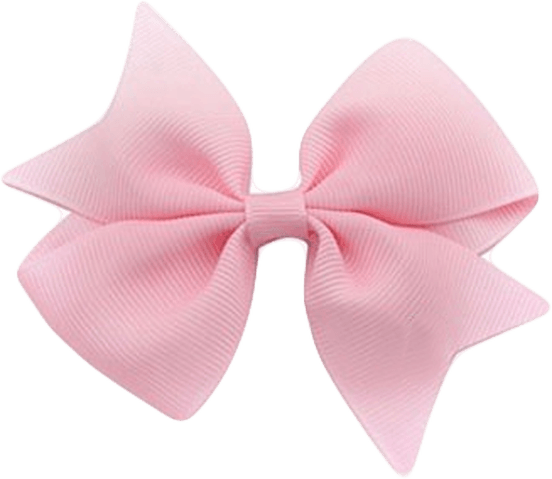 Hair Bow PNG
