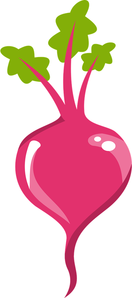 Beetroot PNG
