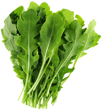 Mustard Greens PNG