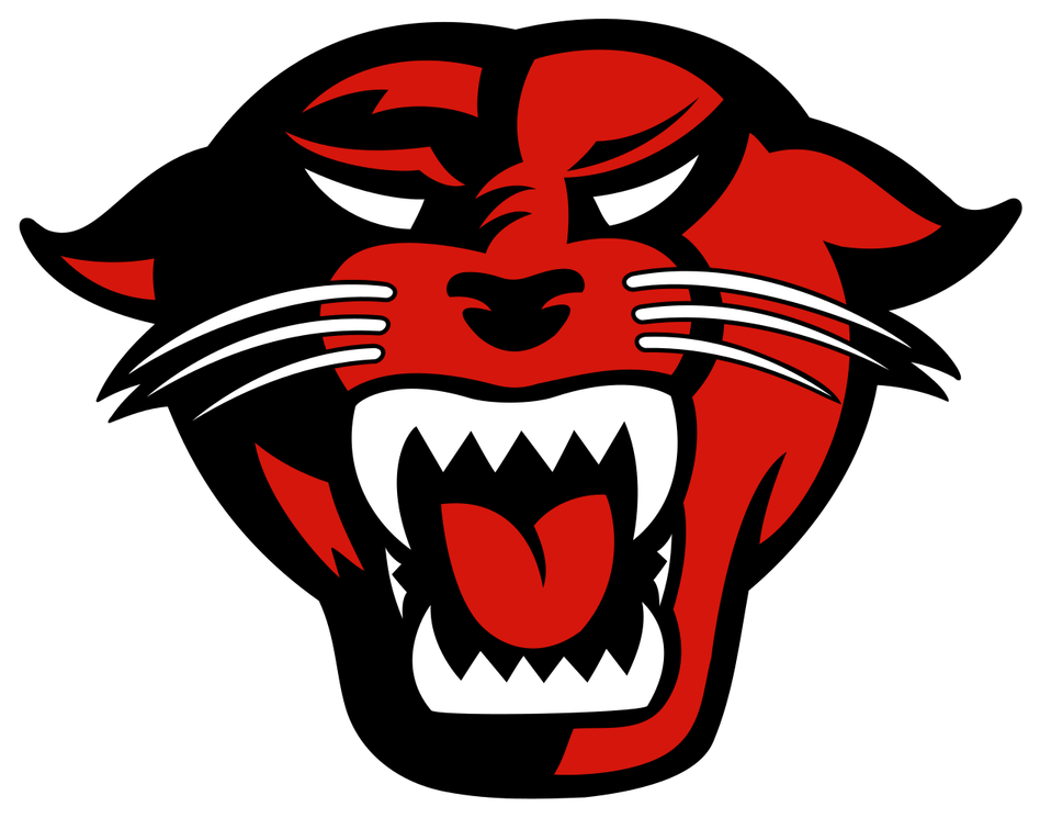 Carolina Panthers Logo PNG