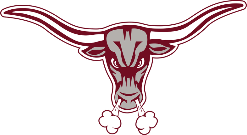 Texas Longhorns Logo PNG
