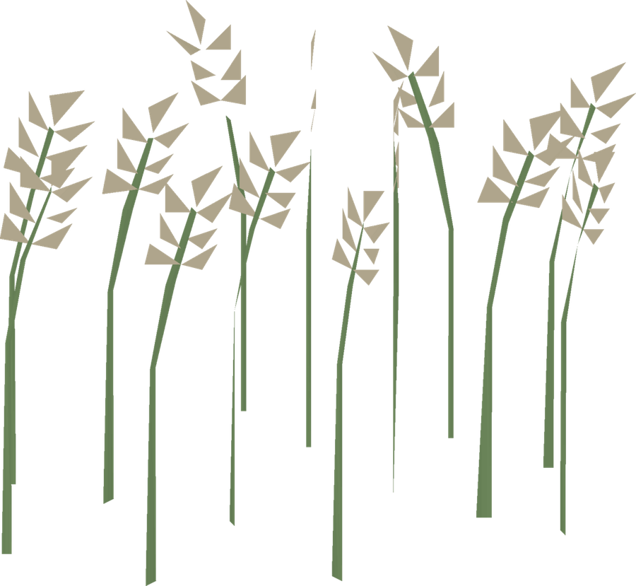 Wheat PNG