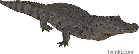 Caiman PNG