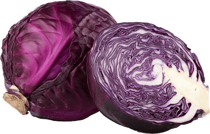 Red Cabbage PNG