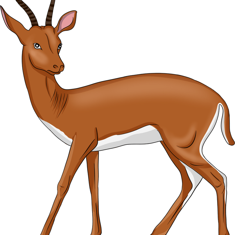 Pronghorn PNG