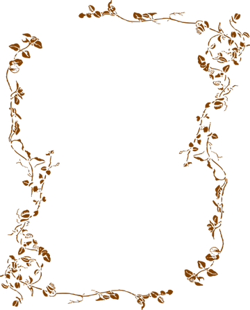 Brown Border PNG