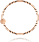Nose Ring PNG