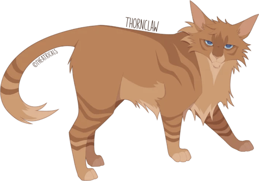 Brown Tabby Cat PNG