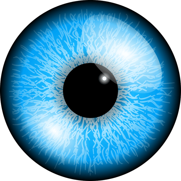 Blue Eyes PNG