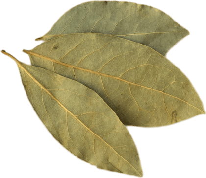 Bay Leaves PNG