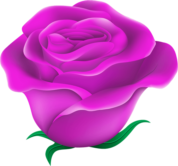 Purple Rose PNG