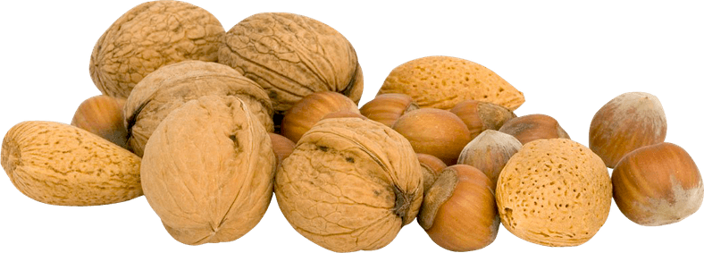 Nuts PNG