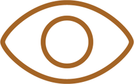 Brown Eye PNG