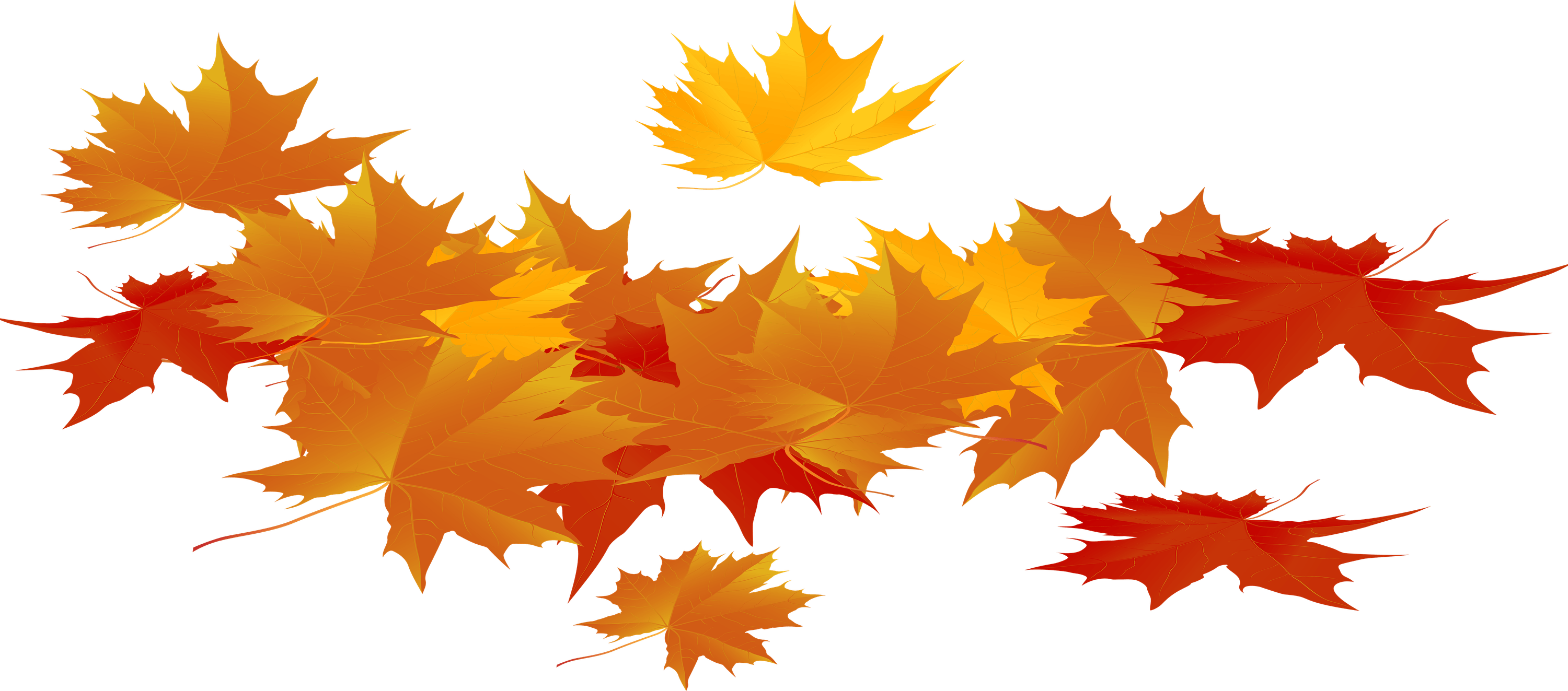 Fall Leaves PNG