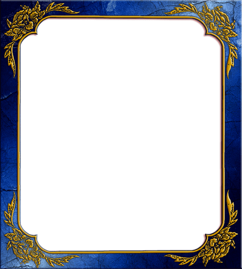 Picture Frame PNG