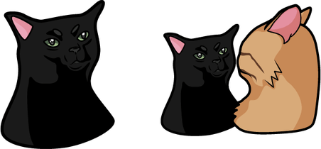 Zoning Out Cat PNG