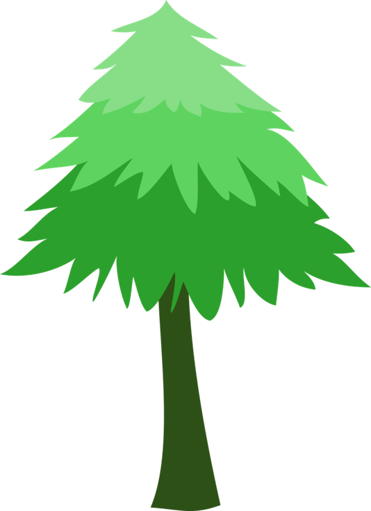 Cartoon Evergreen Tree PNG