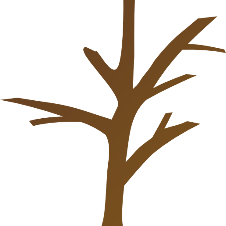 Tree Outline PNG