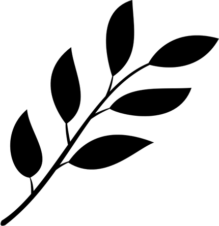Leaf Black And White PNG