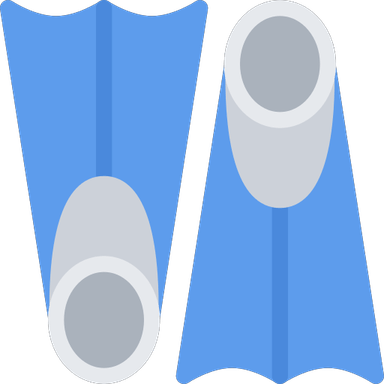 Flipper PNG