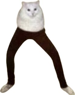 Cursed Cat PNG