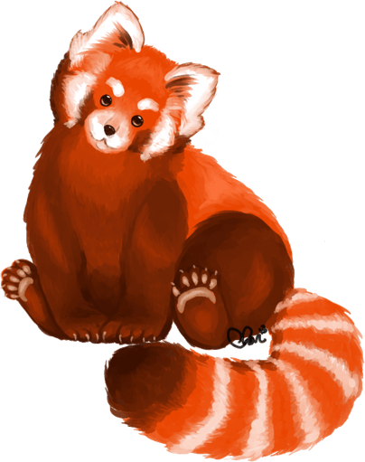 Red Panda PNG