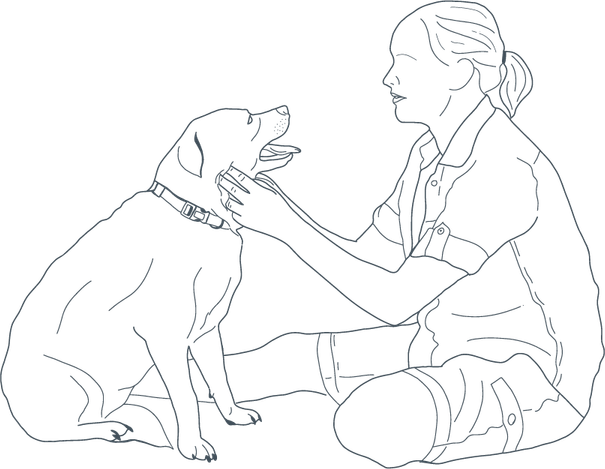 Petting Dog PNG