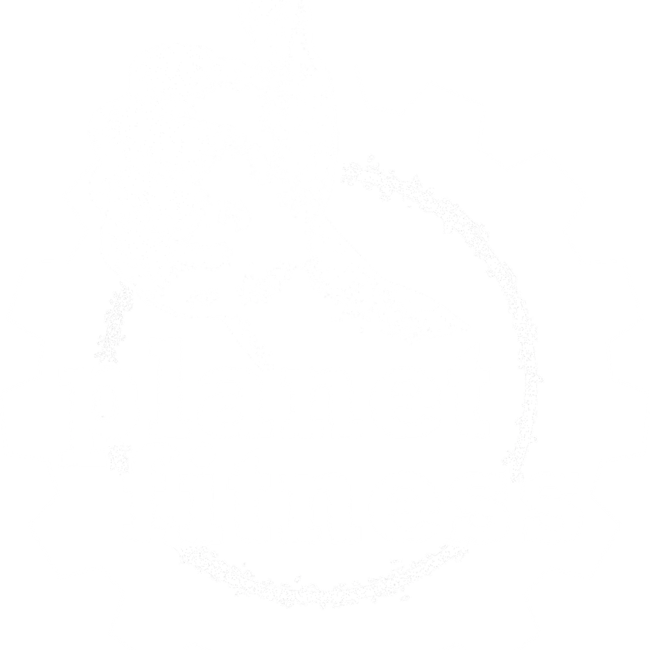 Planet Fitness Logo PNG