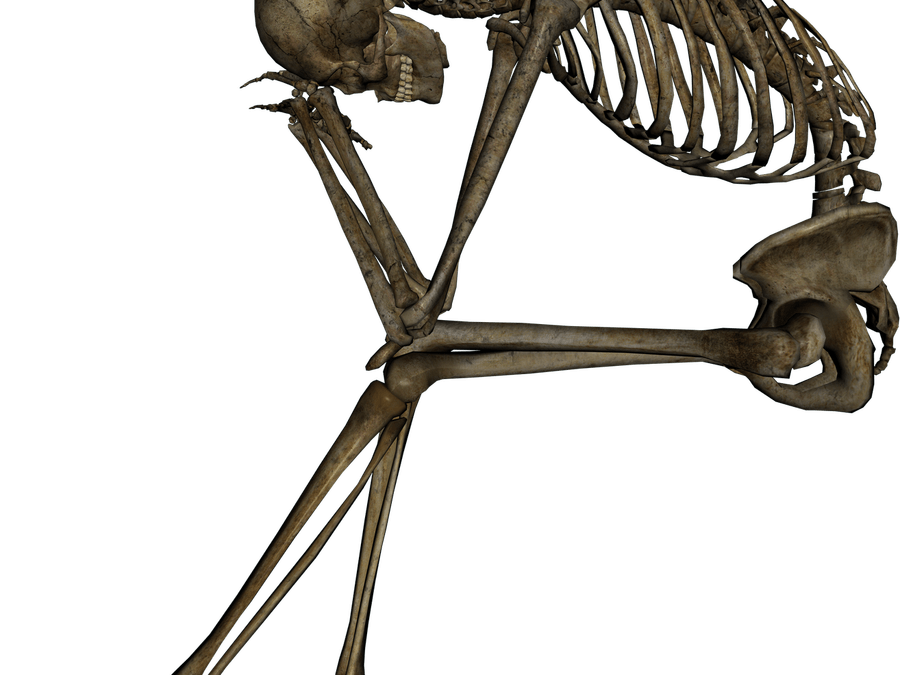 Skeleton PNG