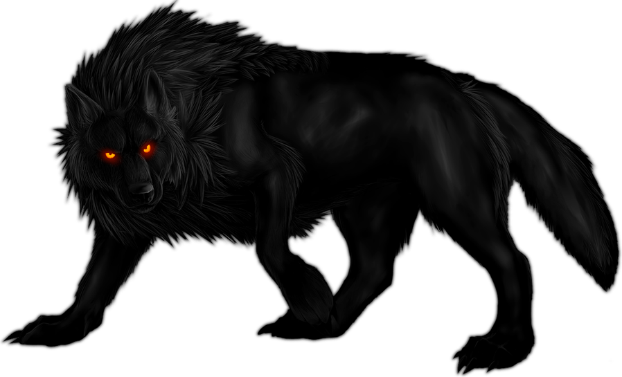 Black Wolf PNG