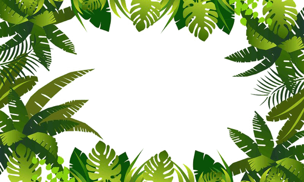 Leaf PNG