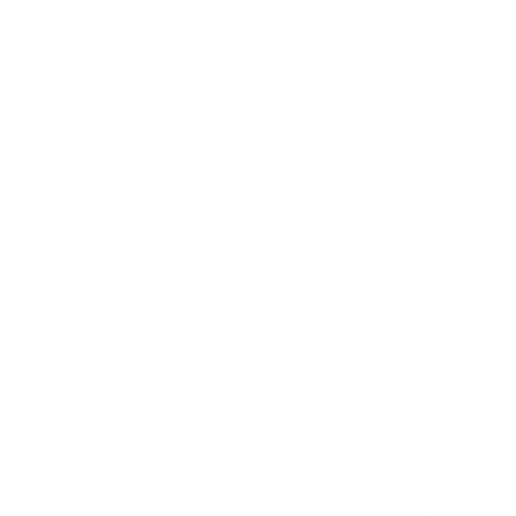 Temu Logo PNG