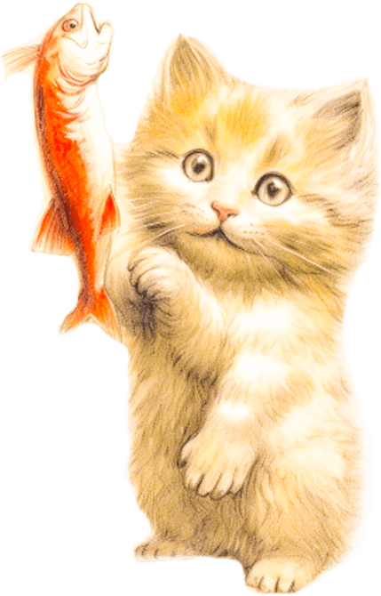 Screaming Cat PNG