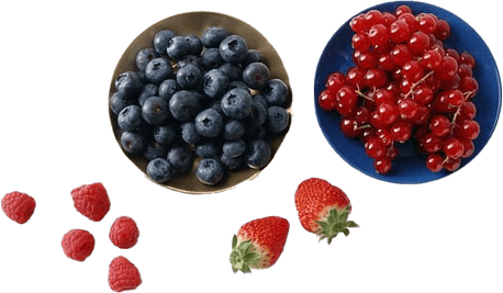 Blackcurrant PNG