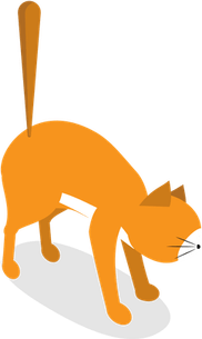 Sitting Cat PNG