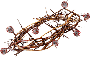 Thorn Crown PNG