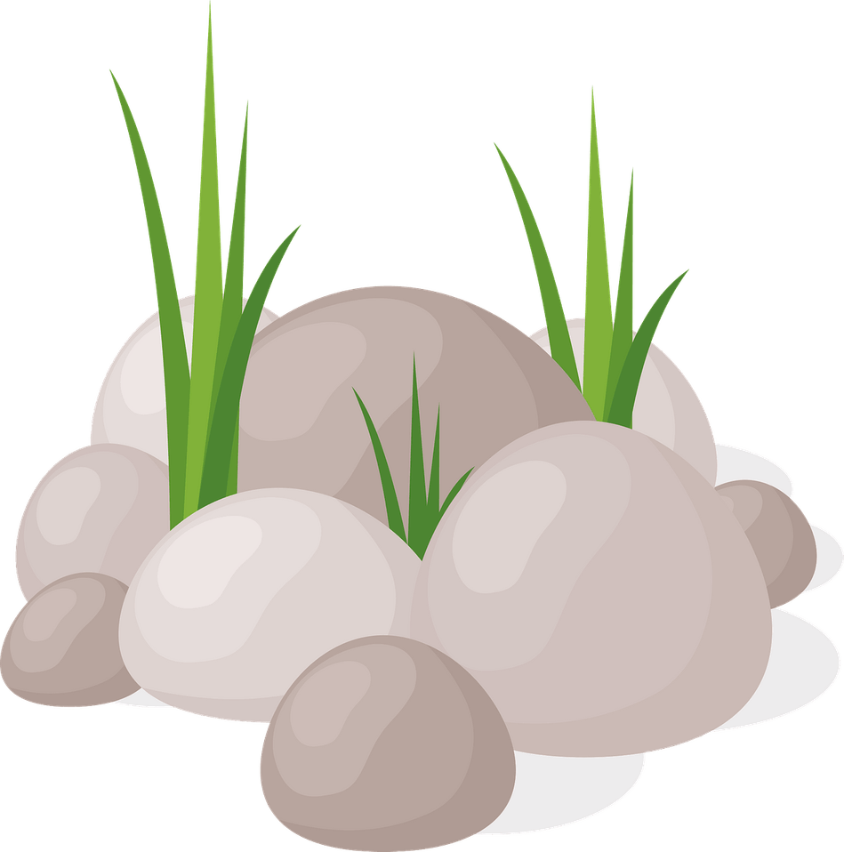 Rock With Grass PNG