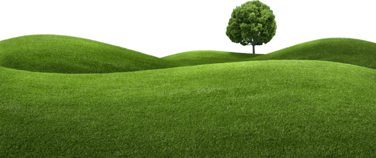 Hills PNG