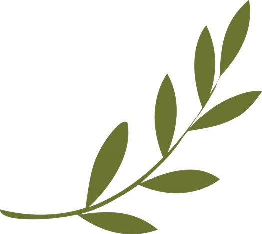 Olive Branch PNG